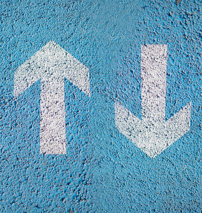 Shopify or Wordpress: Which one is best one for online Shopping