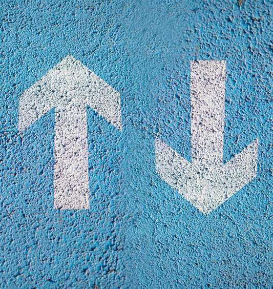 Shopify or Wordpress: Which one is best one for online Shopping